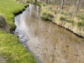 Sodybą sudaro trys žemės sklypai, bendras - nuotraukos Nr. 20