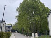 Brokerių paslaugos nedomina, parduoda savininkas. - nuotraukos Nr. 15