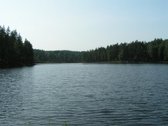 Parduodamas 5.6 ha ypatingo grožio miškų ūkio