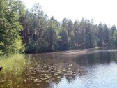 Parduodamas 5.6 ha ypatingo grožio miškų ūkio - nuotraukos Nr. 3