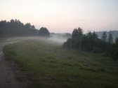 Parduodamas 5.6 ha ypatingo grožio miškų ūkio - nuotraukos Nr. 12