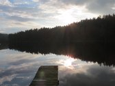 Parduodamas 5.6 ha ypatingo grožio miškų ūkio - nuotraukos Nr. 13