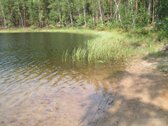 Parduodamas 5.6 ha ypatingo grožio miškų ūkio - nuotraukos Nr. 17