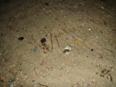 Parduodamas 5.6 ha ypatingo grožio miškų ūkio - nuotraukos Nr. 20