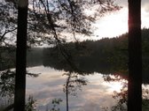 Parduodamas 5.6 ha ypatingo grožio miškų ūkio - nuotraukos Nr. 21