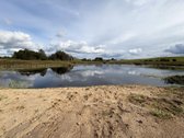 316 arų žemės ūkio sklypas prie Pakalniškių - nuotraukos Nr. 10