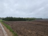 Parduodami 3 sklypai salia vienas kito - - nuotraukos Nr. 9