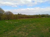 Parduodama sodyba su žemę ir miškas - nuotraukos Nr. 19