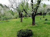 Parduodamas sodas su namu bendrijoje "Apdaila".  - nuotraukos Nr. 5