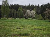 Parduodami Namų Valdos Sklypai Su Panoraminiu - nuotraukos Nr. 10