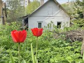 Naujininkuose Parduodamas Rąstinis Gyvenamas - nuotraukos Nr. 7