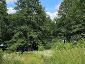Parduodamas 2,58 ha žemės sklypas prie - nuotraukos Nr. 3
