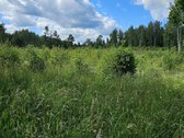 Parduodamas 2,58 ha žemės sklypas prie - nuotraukos Nr. 4
