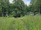 Parduodamas 2,58 ha žemės sklypas prie - nuotraukos Nr. 5
