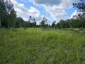Parduodamas 2,58 ha žemės sklypas prie - nuotraukos Nr. 6