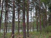 Parduodami žemės sklypai šalia Druskininkų