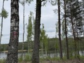 Parduodami žemės sklypai šalia Druskininkų - nuotraukos Nr. 2