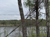 Parduodami žemės sklypai šalia Druskininkų - nuotraukos Nr. 4