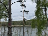 Parduodami žemės sklypai šalia Druskininkų - nuotraukos Nr. 5