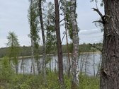 Parduodami žemės sklypai šalia Druskininkų - nuotraukos Nr. 6