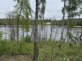 Parduodami žemės sklypai šalia Druskininkų - nuotraukos Nr. 7