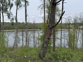 Parduodami žemės sklypai šalia Druskininkų - nuotraukos Nr. 8
