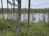 Parduodami žemės sklypai šalia Druskininkų - nuotraukos Nr. 9