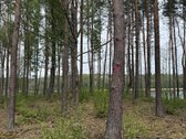 Parduodami žemės sklypai šalia Druskininkų - nuotraukos Nr. 13