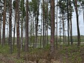 Parduodami žemės sklypai šalia Druskininkų - nuotraukos Nr. 14