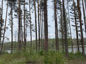 Parduodami žemės sklypai šalia Druskininkų - nuotraukos Nr. 15