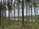 Parduodami žemės sklypai šalia Druskininkų - nuotraukos Nr. 18