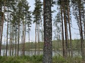 Parduodami žemės sklypai šalia Druskininkų - nuotraukos Nr. 19