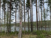 Parduodami žemės sklypai šalia Druskininkų - nuotraukos Nr. 20