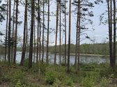 Parduodami žemės sklypai šalia Druskininkų - nuotraukos Nr. 21