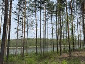 Parduodami žemės sklypai šalia Druskininkų - nuotraukos Nr. 22