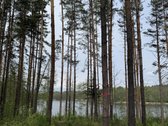 Parduodami žemės sklypai šalia Druskininkų - nuotraukos Nr. 23