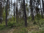 Parduodami žemės sklypai šalia Druskininkų - nuotraukos Nr. 24