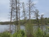 Parduodami žemės sklypai šalia Druskininkų - nuotraukos Nr. 25