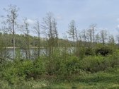 Parduodami žemės sklypai šalia Druskininkų - nuotraukos Nr. 26
