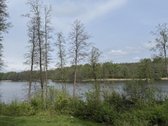 Parduodami žemės sklypai šalia Druskininkų - nuotraukos Nr. 27