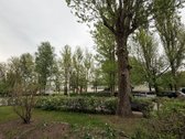 Adresas - Pušyno g., Panevėžys - nuotraukos Nr. 41
