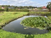 Parduodamas sodo sklypas Struikų k. Su Šalia