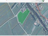 Rusnės saloje, Pakalnės kaime, prie Pakalnės - nuotraukos Nr. 12