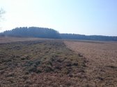 Parduodami šeši besiribojantys žemės sklypai: - nuotraukos Nr. 2