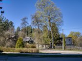 Antakalnyje, Miško Apsupty, 7 Arų Sklype - nuotraukos Nr. 5