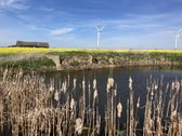 Parduodamas 1,47 Hektarų Žemės Ūkio - nuotraukos Nr. 3