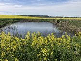 Parduodamas 1,47 Hektarų Žemės Ūkio - nuotraukos Nr. 6