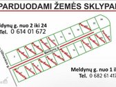Parduodami įvairaus dydžio, jau suformuoti