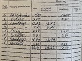 Parduodamas tvarkingas ir prižiūrėtas 3 - nuotraukos Nr. 31