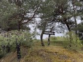 Parduodamas sklypas namų valdos statybai ar - nuotraukos Nr. 3